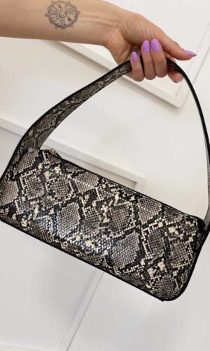 Vicolo Borsa Pitonata Deva